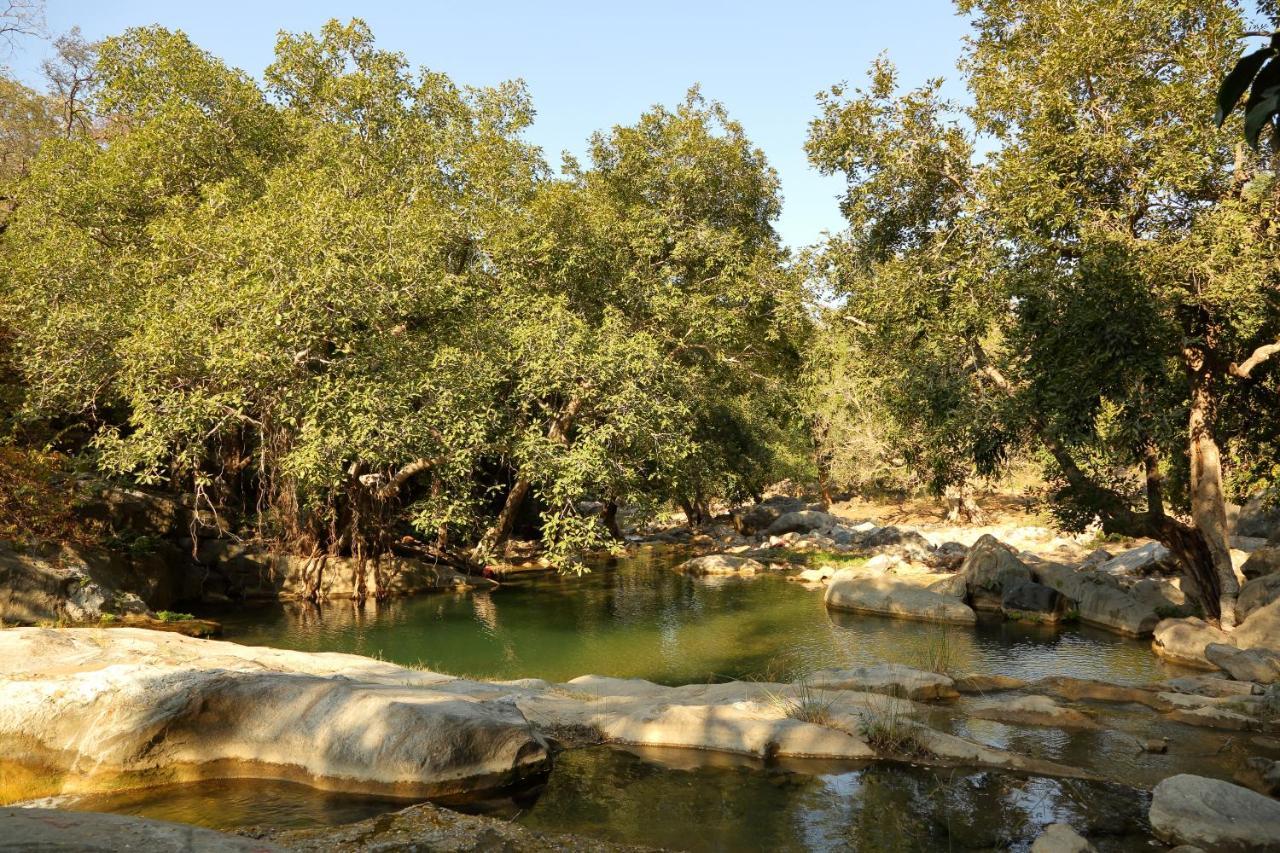 Bijapur Lodge Jawai Екстериор снимка
