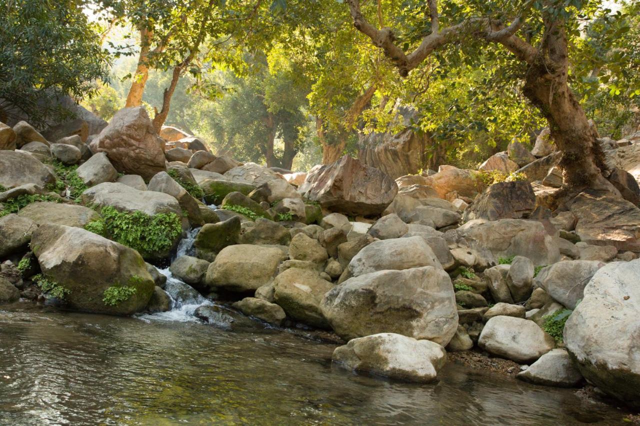 Bijapur Lodge Jawai Екстериор снимка